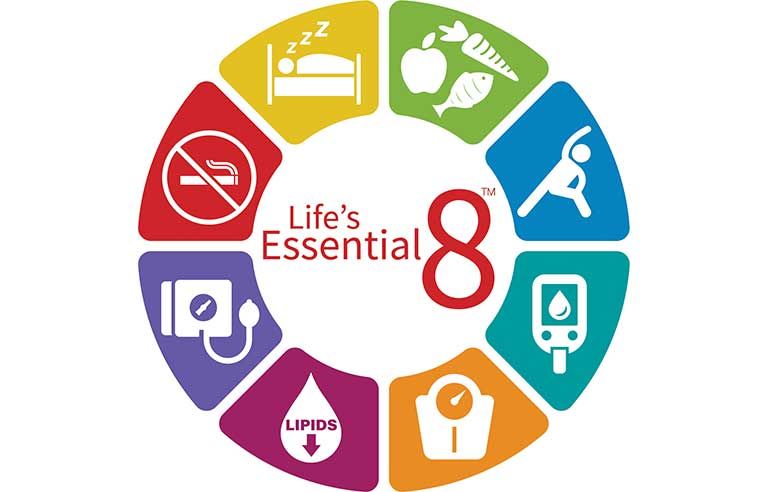 life-essential-8-sleep